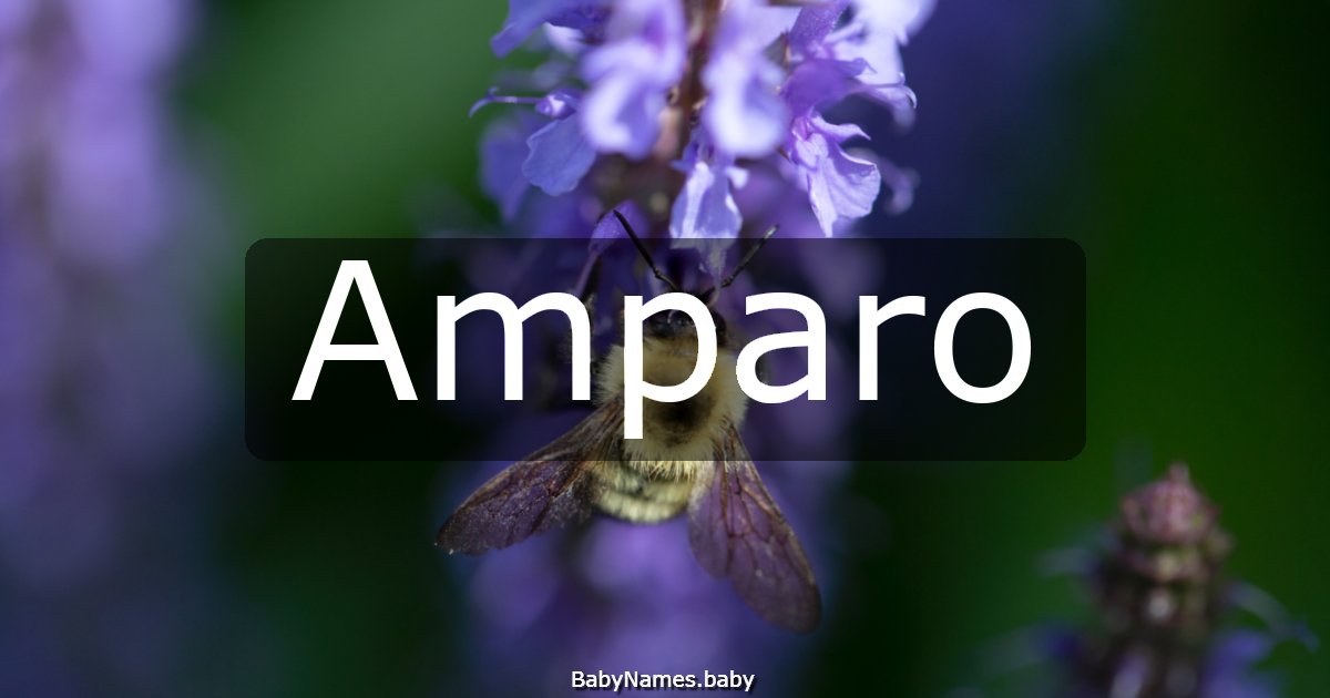 Amparo